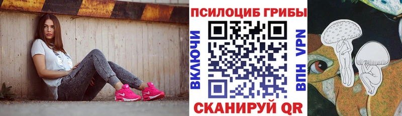 наркотики  Южно-Сахалинск  Псилоцибиновые грибы мицелий 